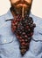 Winegrower holds cluster of grapes in mouth. Winemaking and autumn