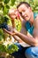 Winegrower picking grapes at harvest time