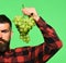Winegrower with serious face holds cluster of white grapes.