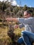 Winegrower works at pruning in an old vineyard