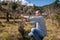 Winegrower works at pruning in an old vineyard