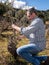 Winegrower works at pruning in an old vineyard