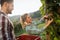 Winegrowers harvesting grapes in vineyard