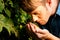 Winemaker checking the grapes