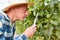 Winemaker checks the vine with a magnifying glass