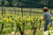 Winemaker Farmworker, Woman with brown hair and straw hat checking the quality of her Wine Plants