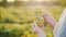 Winemaker holding a bunch of grapes on the background of the vineyard