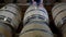 Winemaker Making Wine in Barrel Cellar