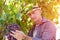 Winemaker man in straw hat examining grapes