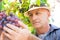 Winemaker man in straw hat examining grapes