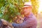 Winemaker man in straw hat examining grapes