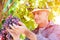 Winemaker man in straw hat examining grapes