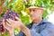 Winemaker man in straw hat examining grapes