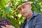 Winemaker man in straw hat examining grapes