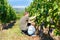 Winemaker, wine grower or grape picker and child with ripe blue grapes on grapevin. Man and son harvesting. Mosel Rhine