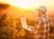 Winemakers love wifi. Rearview shot of a young farmer using a laptop while standing in a vineyard.