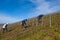 Winemakers prune the branches, in a vineyard producing champagne, in the region of Ay Champagne, during the winter period