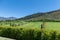Wineries in Franchhoek area, Cape Town