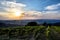 Wineries in Tuscany, the taste of the earth CXXXIV