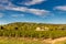 Winery Building and Vineyard-Provence,France