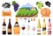 Winery and elements of wine production. Bottles of different types of wine. Vector illustration on a white background