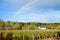 Winery garden after rain