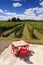 Winery grren field - New Zealand