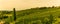 Winery panorama on the South Styrian Wine Road in Austria