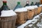 Wines carboys covered by snow