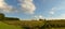 Wineyard in Chianti in Tuscany