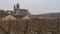 Wineyard sited in la rioja spain