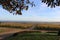 Wineyard at Sunrise during Autumn