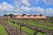 Wineyard during winter in Australia with the winery building in the background