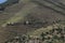 Wineyards Douro Valley Portugal