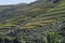 Wineyards Douro Valley Portugal