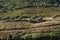 Wineyards Douro Valley Portugal