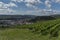 Wineyards over Krems an der Donau in summer sunny hot day