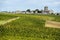 Wineyards of Saint Emilion, Bordeaux Vineyards