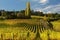 Wineyards in Tuscany, Chianti, Italy