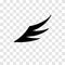 Wing icon. Eagle bird heraldic flying. Falcon phoenix hawk logo.