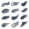 Wing icons. Different shapes of black wings emblems, birds feather heraldic symbol, vintage tattoo element. Angel logo