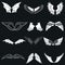 Wing icons set in simple ctyle. Birds and angel wings set collection vector illustration