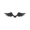 Wing logo symbol vector