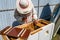 Winged bee slowly flies to beekeeper collect nectar on private apiary