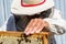 Winged bee slowly flies to beekeeper collect nectar on private apiary