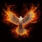 Winged dove, a representation of the New Testament Holy Spirit engulfed in flames