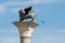 Winged lion head with a seagull in the Piazza San Marco in Venice in Italy