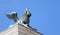 Winged lion statue in piazza san marco in Venice and Seagull in