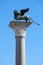 Winged Lion statue, symbol of Venice, blue sky in Italy