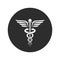 Winged snakes ancient medical vector symbol